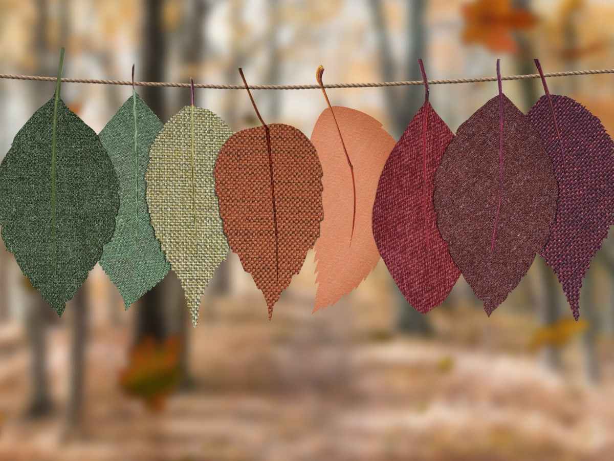 Rarely linear, sometimes chaotic,  always meaningful